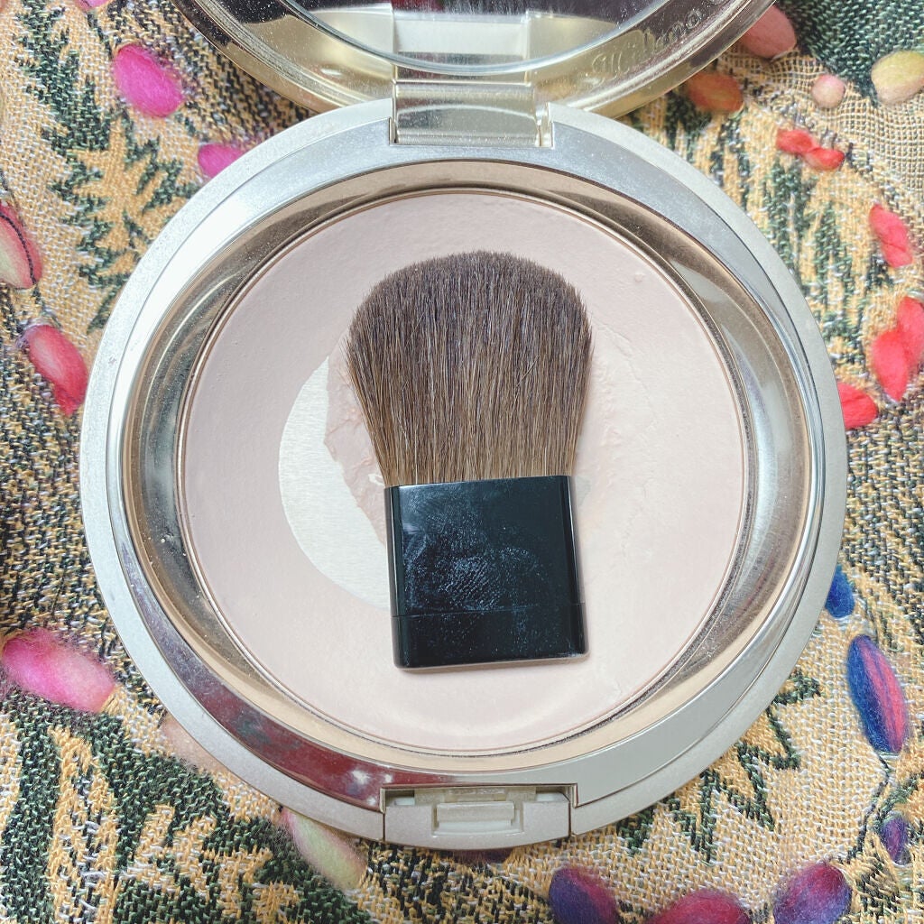 ブラッシュブラシ/ADDICTION/メイクブラシを使ったクチコミ(3枚目)