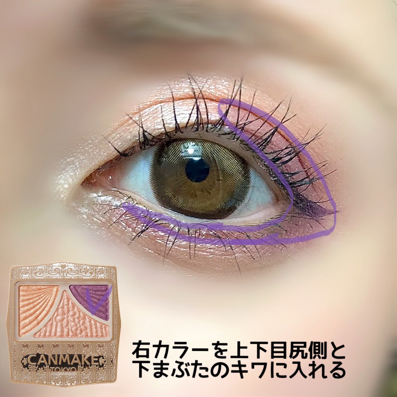 ジューシーピュアアイズ/キャンメイク/アイシャドウパレットを使ったクチコミ(3枚目)