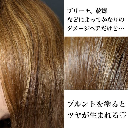 プルント ディープモイスト美容液ヘアオイル/Purunt./ヘアオイルを使ったクチコミ(4枚目)