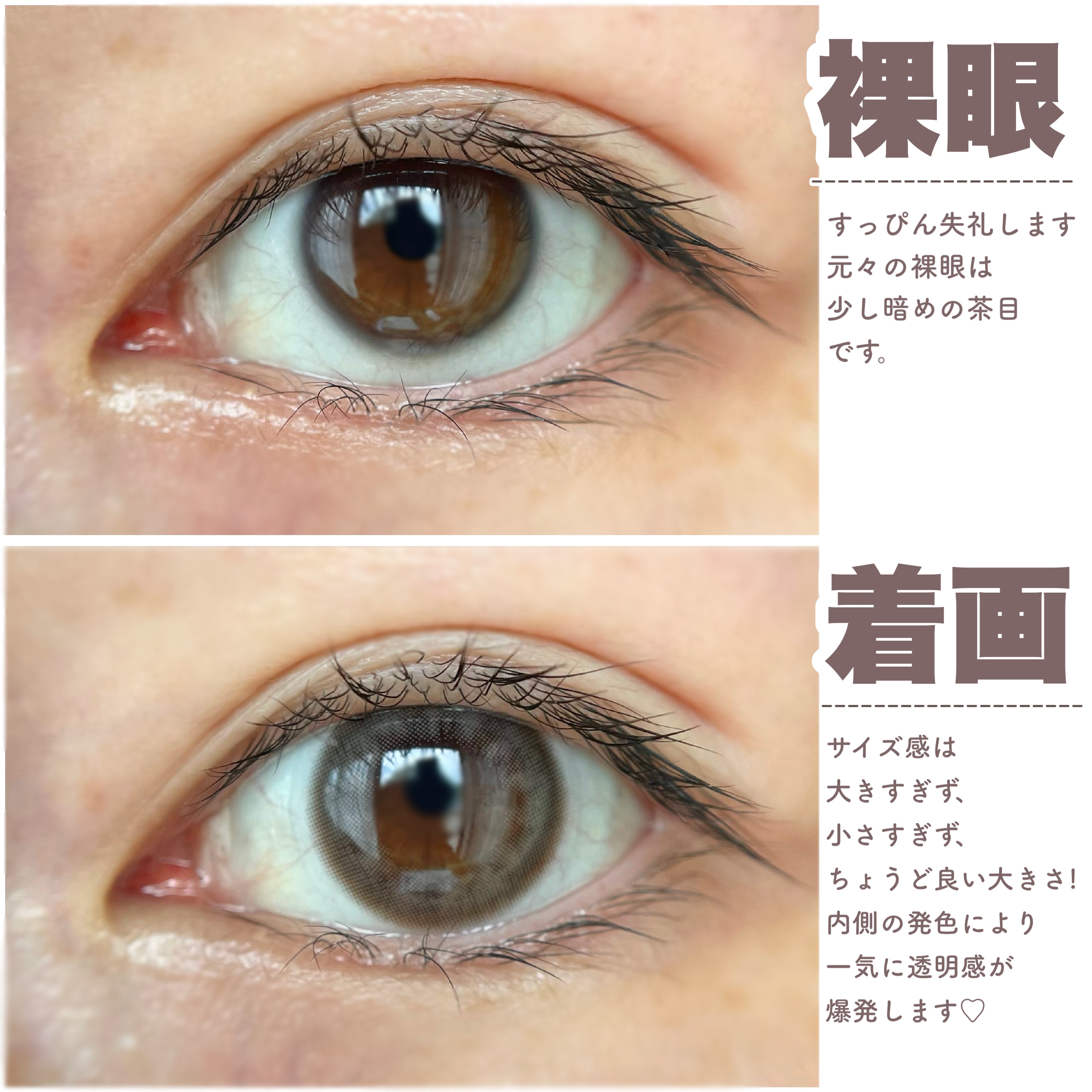 BELLSiQUE 1day/ベルシーク/ワンデー（１DAY）カラコンを使ったクチコミ（3枚目）