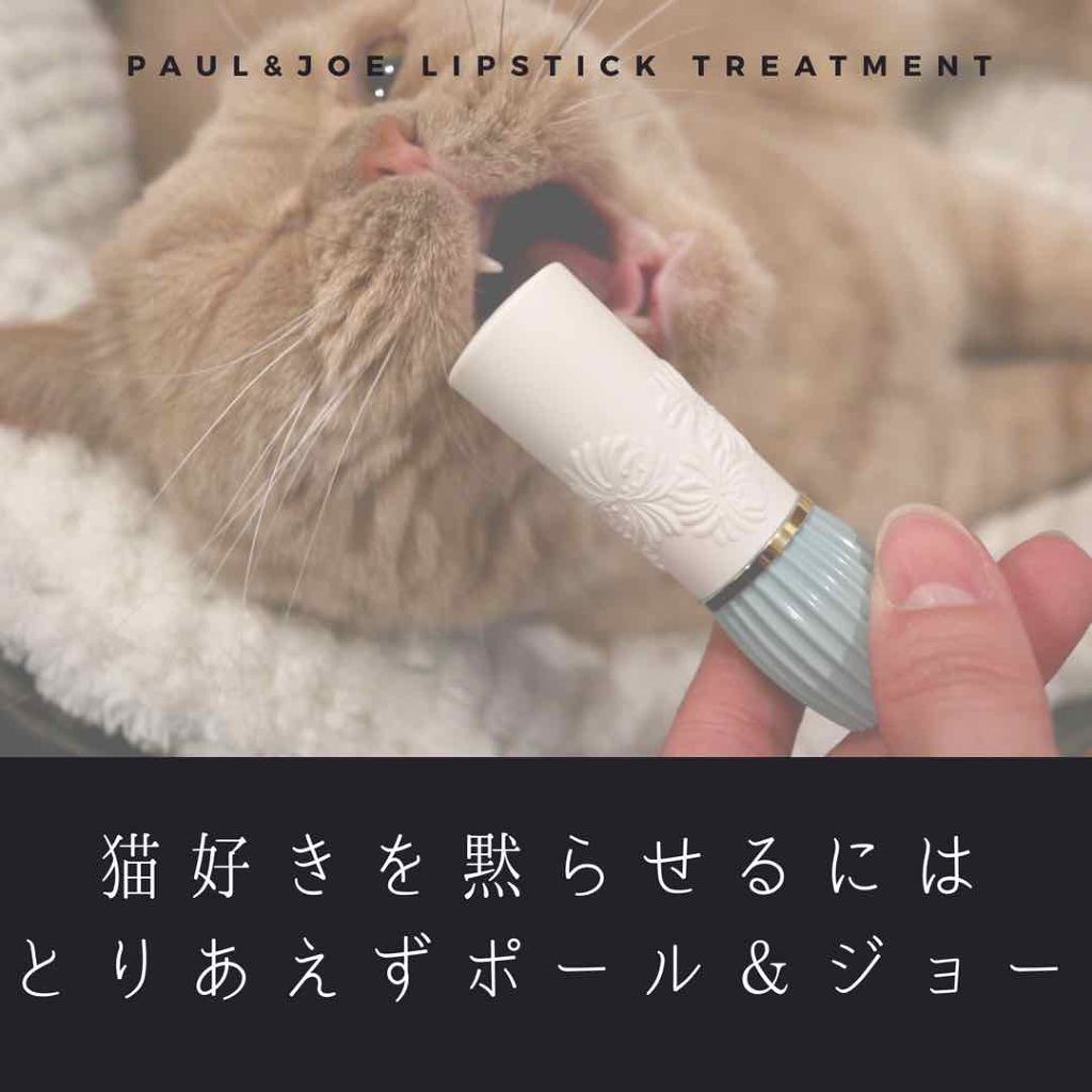 リップスティック N/PAUL & JOE BEAUTE/口紅を使ったクチコミ（1枚目）