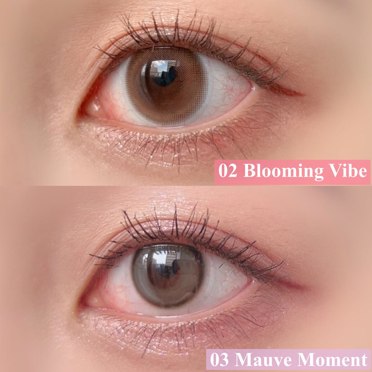 ホーリーモリーレイヤーパレット/HAKIT/アイシャドウパレットを使ったクチコミ(3枚目)