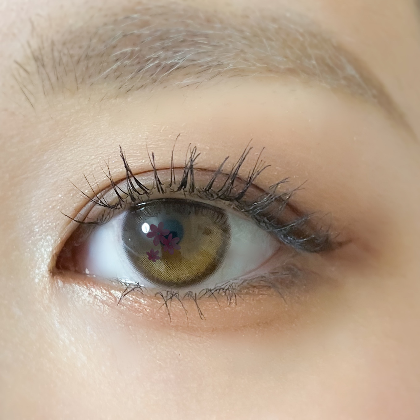 ハイパーリフトマスカラ/D-UP/マスカラを使ったクチコミ（3枚目）