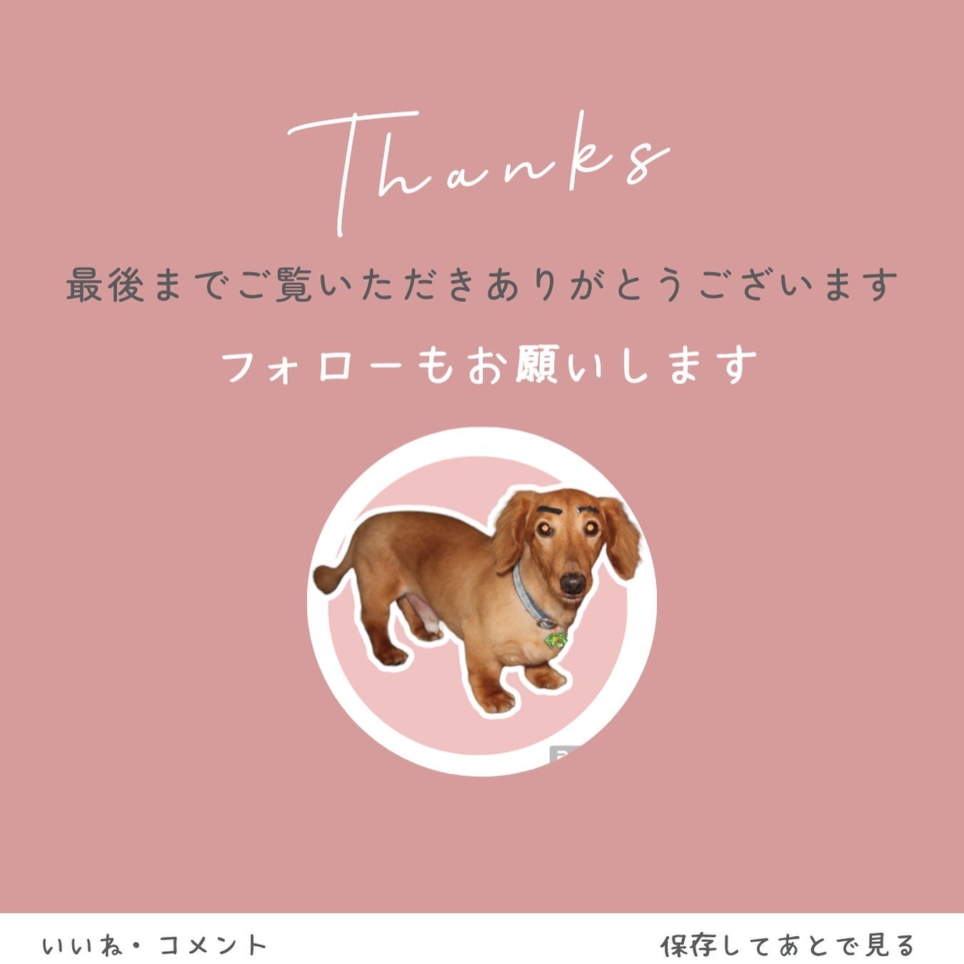 ぽち on LIPS 「「Caddrueトイレットペーパーホルダー」をご提供頂きました..」(10枚目)