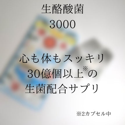 生酪酸菌3000/ミナミヘルシーフーズ/健康サプリメントを使ったクチコミ(3枚目)