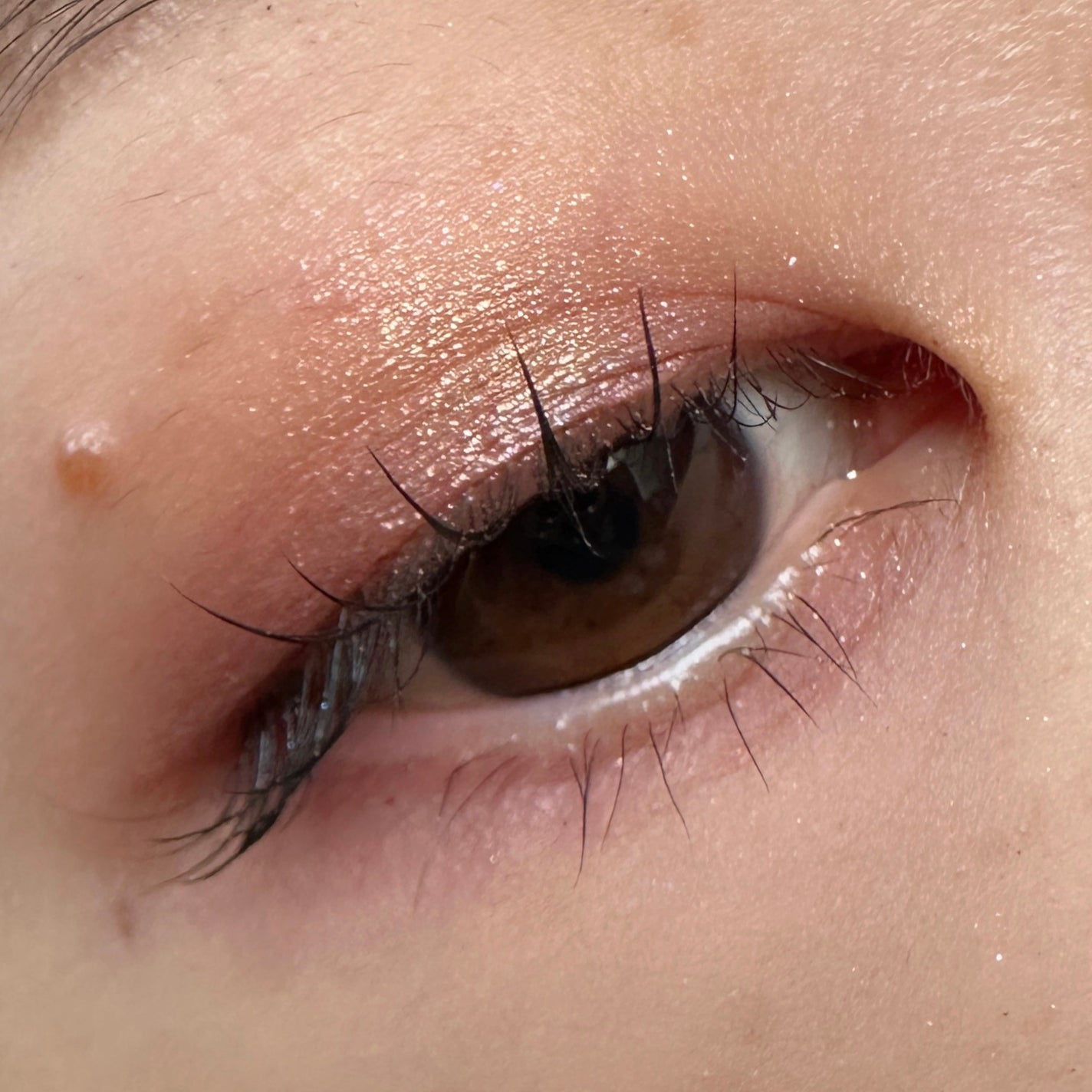 Eyeshadow 5 Colour Compacts/BYREDO/アイシャドウパレットを使ったクチコミ(3枚目)