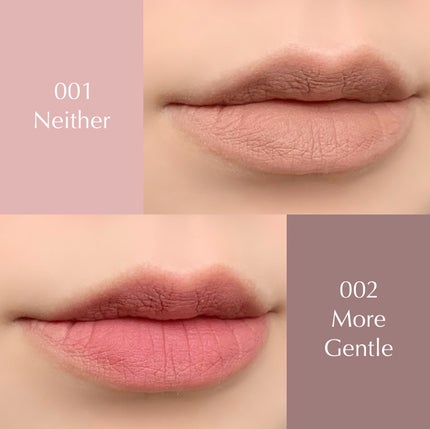 シルキーブラーティント/ArteSinsa/口紅を使ったクチコミ(3枚目)