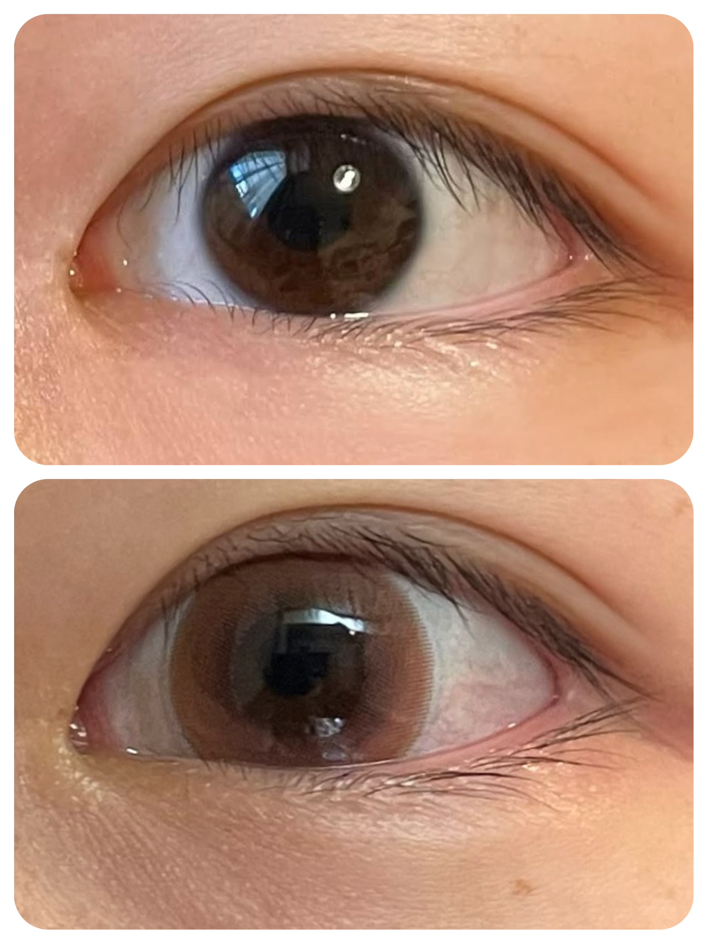 view it color 1day uv/view it/ワンデー（１DAY）カラコンを使ったクチコミ（2枚目）