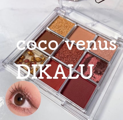 DIKALU cocovenus/DIKALU/アイシャドウパレットを使ったクチコミ(1枚目)