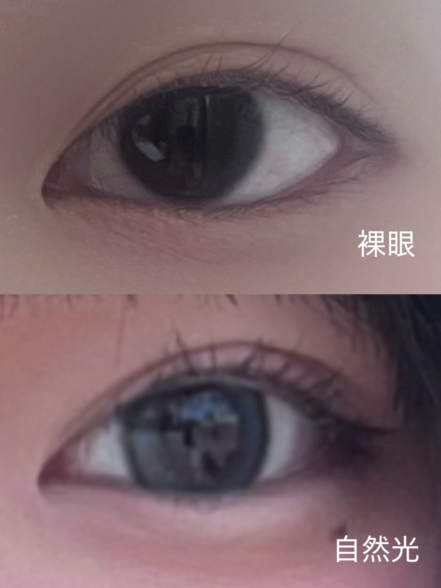 1day refrear a-eye/リフレア/ワンデー(1DAY)カラコンを使ったクチコミ(2枚目)