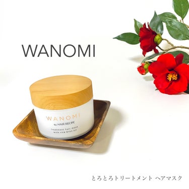 WANOMI とろとろ トリートメント ヘアマスクのクチコミ「＼使いやすいとろとろヘアマスク♪／
🌟WANOMI(わのみ)  とろとろトリートメントヘアマス.....」（1枚目）