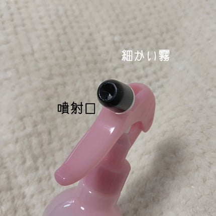 パーフェクトシャワー (さらさら) EX/MACHERIE/ヘアミストを使ったクチコミ(4枚目)