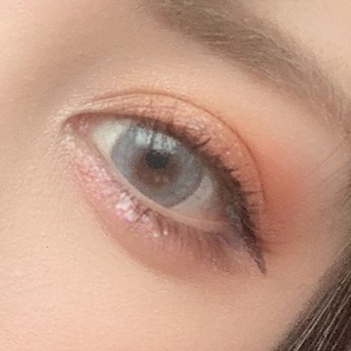 バタフライアイシャドウパレット/AGAG/アイシャドウパレットを使ったクチコミ(4枚目)