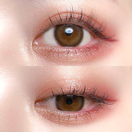 エクスプローラ12色 動物アイシャドウパレット/PERFECT DIARY/アイシャドウパレットを使ったクチコミ(5枚目)