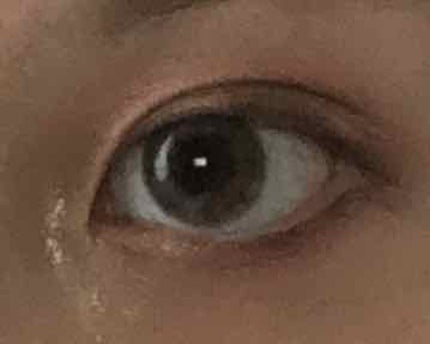 スキニーリッチシャドウ/excel/アイシャドウパレットを使ったクチコミ(2枚目)