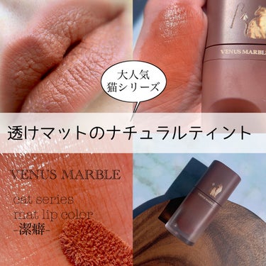 キャットシリーズマットリップカラー/Venus Marble/口紅を使ったクチコミ（1枚目）