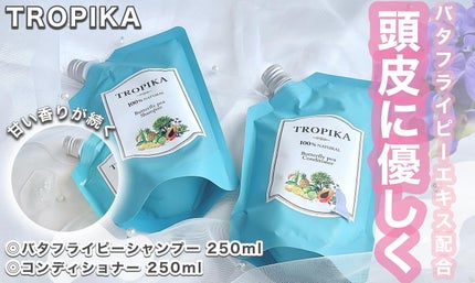 バタフライピーシャンプー/バタフライピーコンディショナー/TROPIKA/市販シャンプーを使ったクチコミ(1枚目)