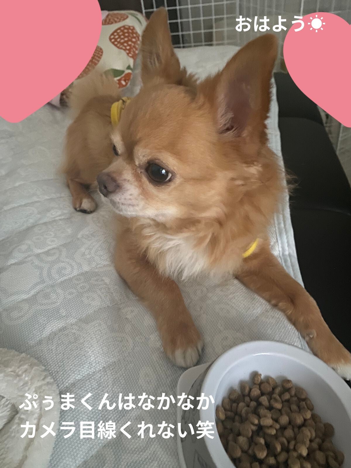 カラフルネイルズ/キャンメイク/マニキュアを使ったクチコミ(7枚目)