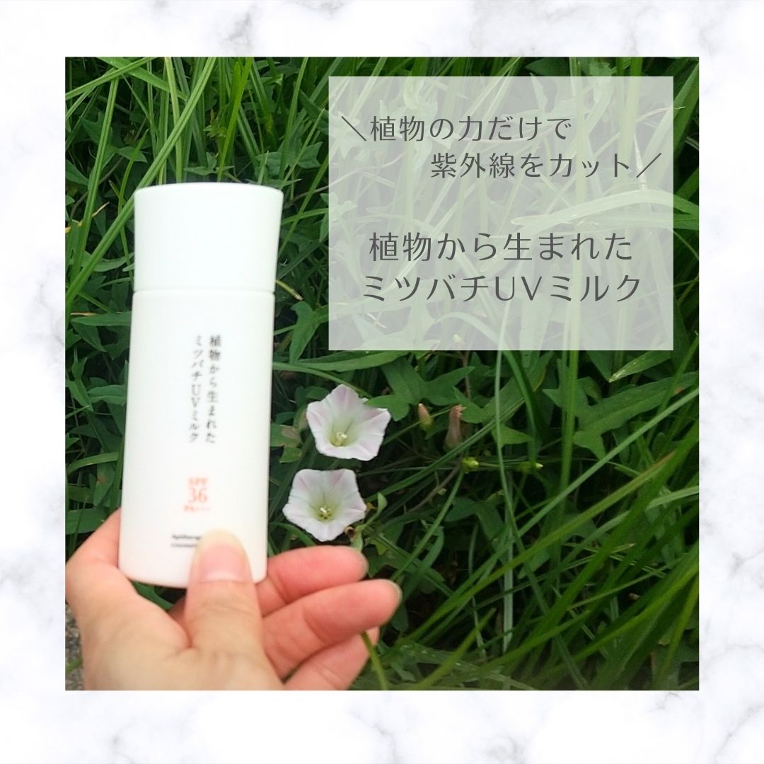 植物から生まれたミツバチUVミルク/アピセラピーコスメティクス/日焼け止めミルクを使ったクチコミ（1枚目）