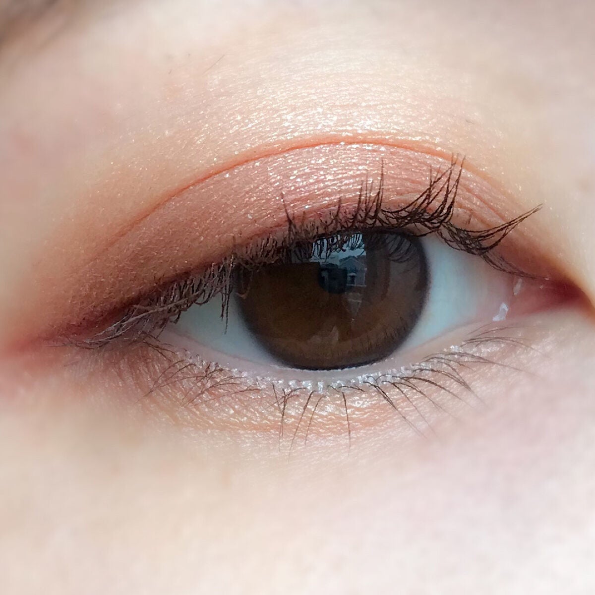 ベージュトーンアイシャドウ/CEZANNE/アイシャドウパレットを使ったクチコミ(4枚目)