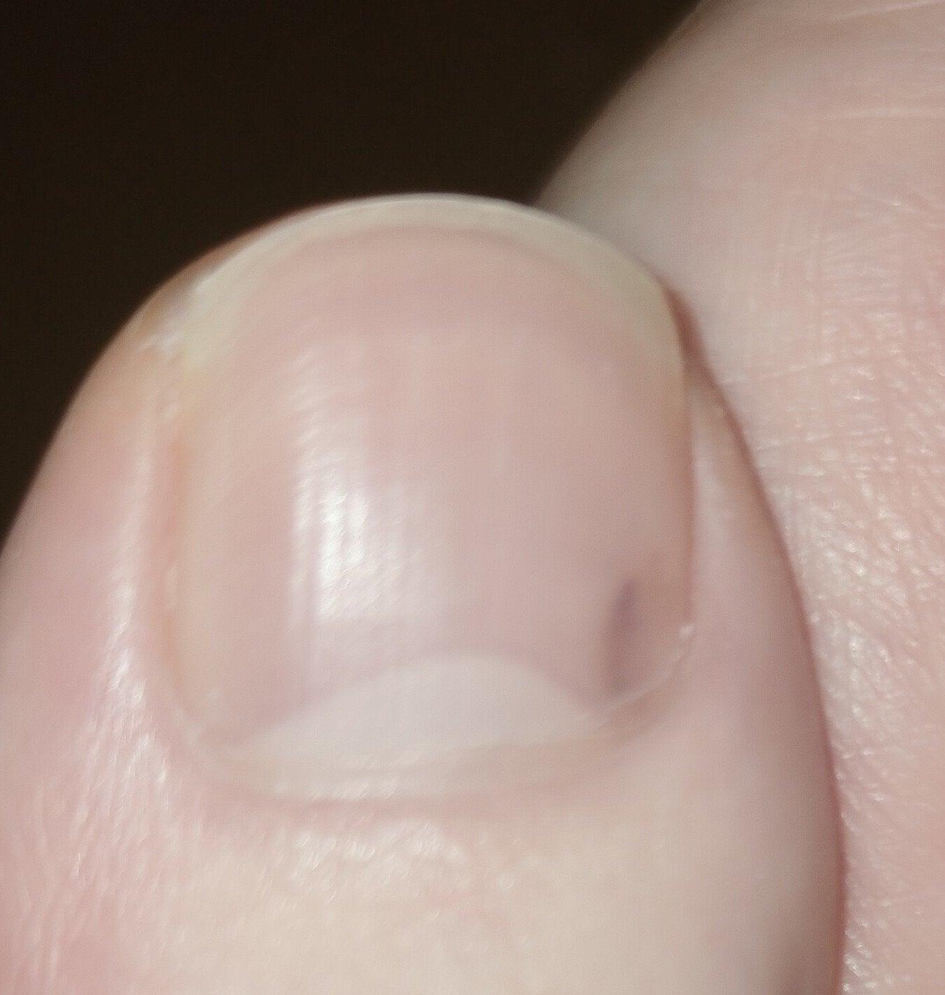 ガラス爪ヤスリ/DAISO/ネイル用品を使ったクチコミ(4枚目)