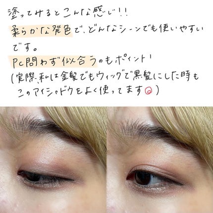 アディクション ザ アイシャドウ パレット/ADDICTION/アイシャドウパレットを使ったクチコミ(5枚目)