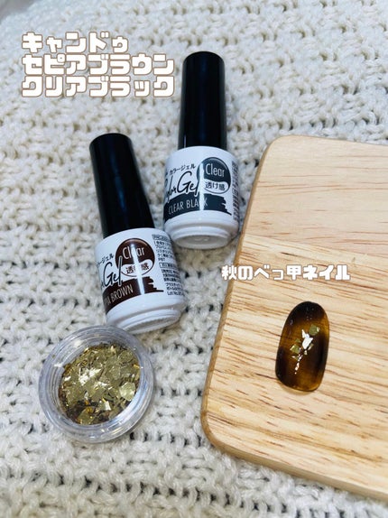 パル カラージェル/キャンドゥ/ジェルネイルを使ったクチコミ(1枚目)