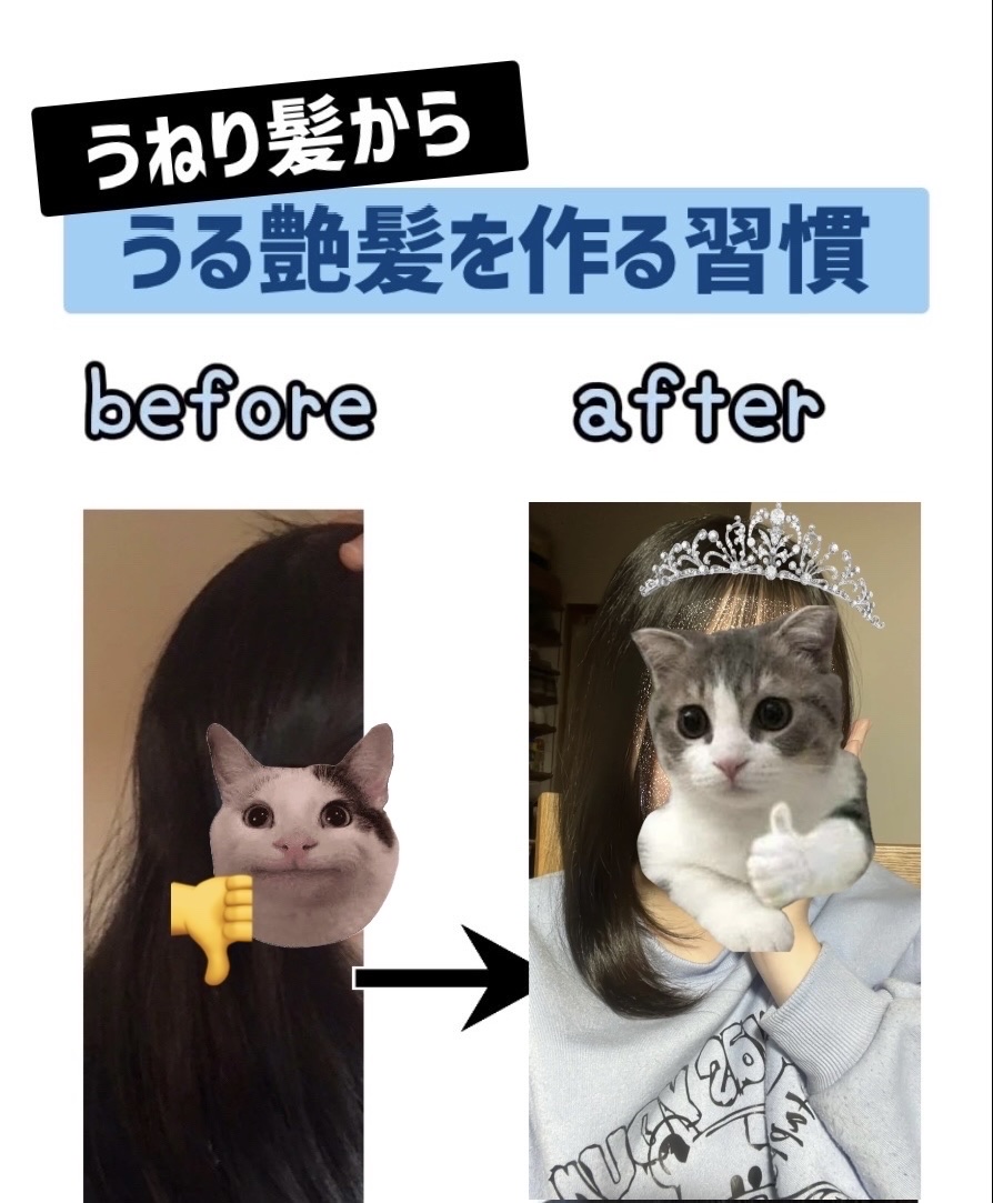 パドルディタングラー ピンク/ウェットブラシ/ヘアブラシを使ったクチコミ（1枚目）