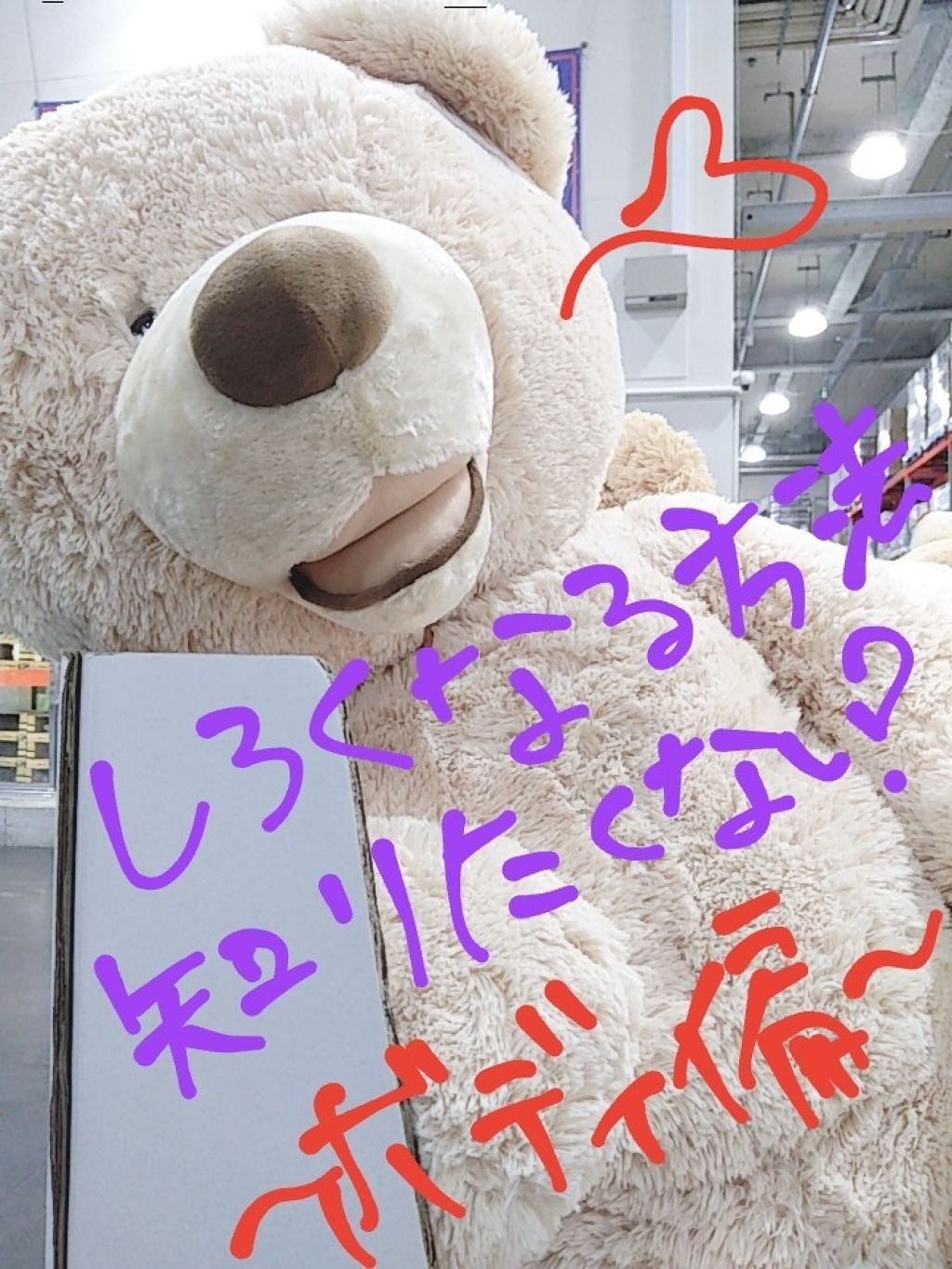 薬用ホワイトコンク ボディシャンプーC II/ホワイトコンク/ボディソープを使ったクチコミ（1枚目）