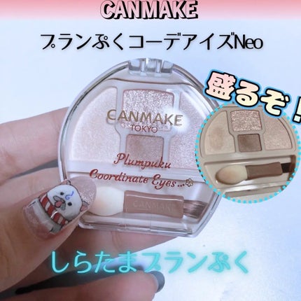 プランぷくコーデアイズNeo/キャンメイク/アイシャドウを使ったクチコミ(1枚目)