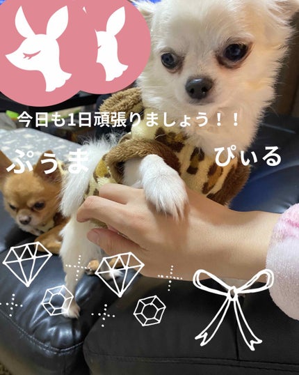 きき湯 クレイ重曹炭酸湯/きき湯/炭酸系入浴剤を使ったクチコミ(9枚目)