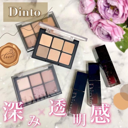 ブラーフィニシュシャドウパレット/Dinto/アイシャドウパレットを使ったクチコミ(1枚目)