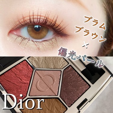 サンク クルール クチュール＜バーズ オブ ア フェザー＞/Dior/アイシャドウパレットを使ったクチコミ（1枚目）