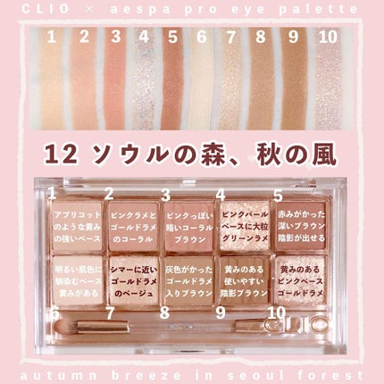 プロ アイ パレット/CLIO/アイシャドウパレットを使ったクチコミ(1枚目)