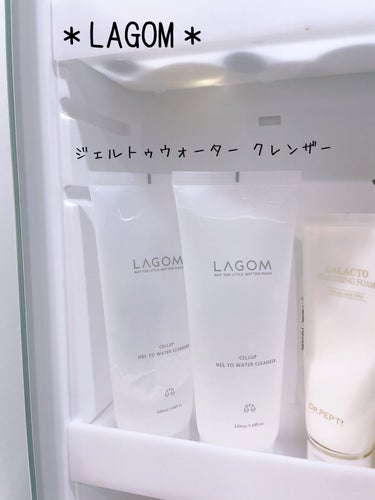 ラゴム ジェルトゥウォーター クレンザー(朝用洗顔)/LAGOM /洗顔フォームを使ったクチコミ（1枚目）