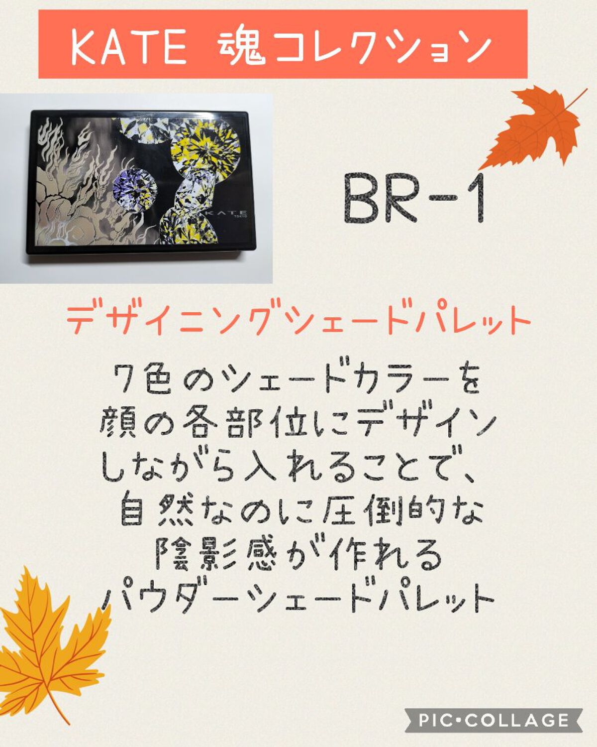 KATE 魂コレクション デザイニングシェードパレット３D/KATE/シェーディングを使ったクチコミ（2枚目）