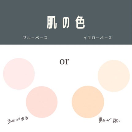 パーソナルカラー診断/Visée/その他を使ったクチコミ(3枚目)
