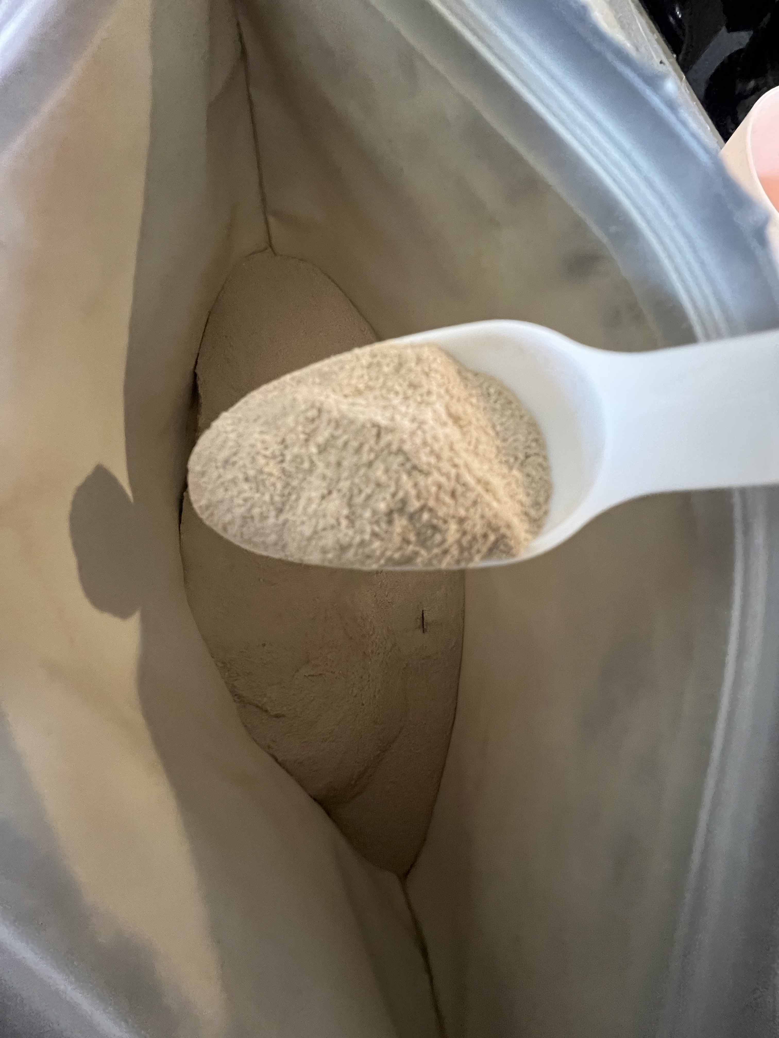 フェミフローラ グラスフェッドホエイ&ソイプロテイン ショコラ味/わかもと製薬/その他プロテインを使ったクチコミ（2枚目）