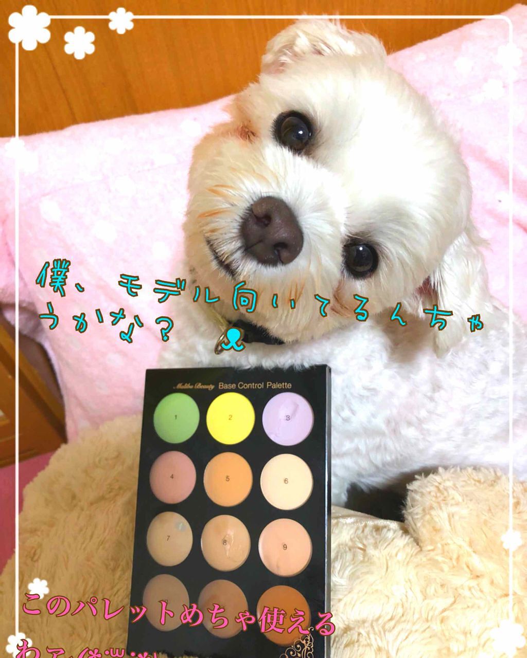 ベースコントロールパレット/マリブビューティー/パレットコンシーラーを使ったクチコミ(1枚目)