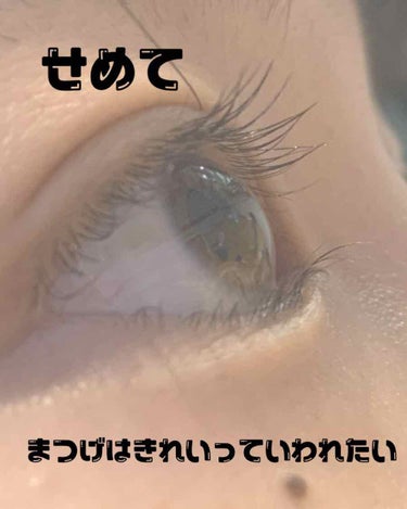 まつ育頑張ってるいちごと犬です！！
こんにちは！もしくはこんばんは！
お急ぎの方は🌟🌟🌟🌟🌟🌟まで飛ばしてください！
写真一枚目に二重のとこ前髪1本入ってました😂
ちなみにこの写真はまつげ美容液塗った後