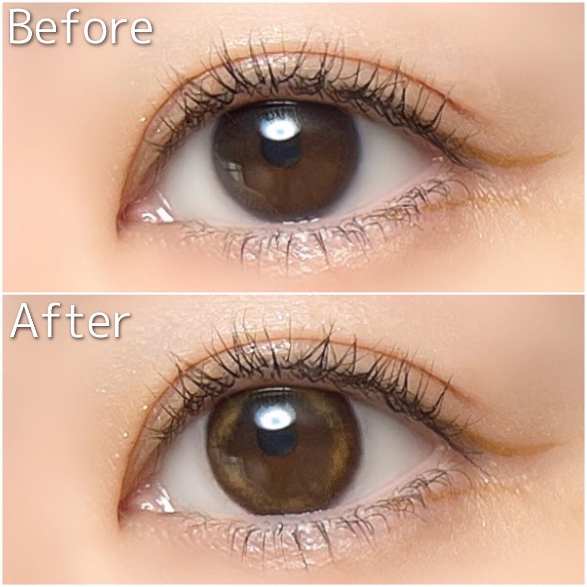 BELLSiQUE 1day/ベルシーク/ワンデー(1DAY)カラコンを使ったクチコミ(10枚目)