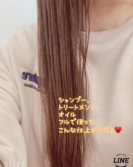 アンドハニー ピクシー モイストシルキー シャンプー1.0/ヘアトリートメント2.0/&honey/市販シャンプーを使ったクチコミ(10枚目)