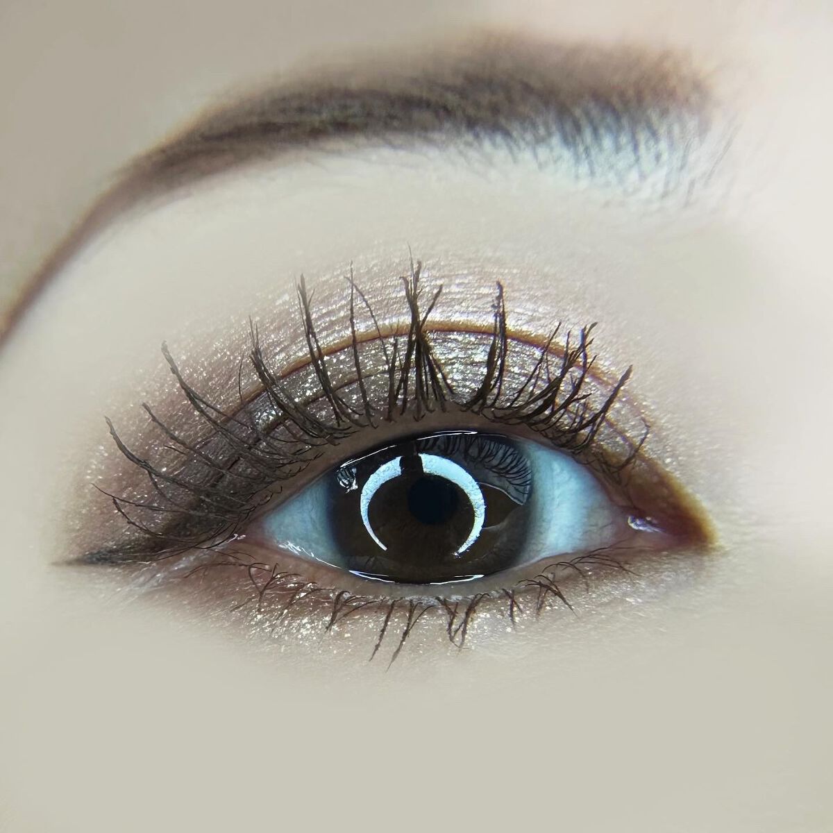 レブロン ダズル アイシャドウ クアッド 001 グレイジング ブラウン/REVLON/アイシャドウパレットを使ったクチコミ（2枚目）