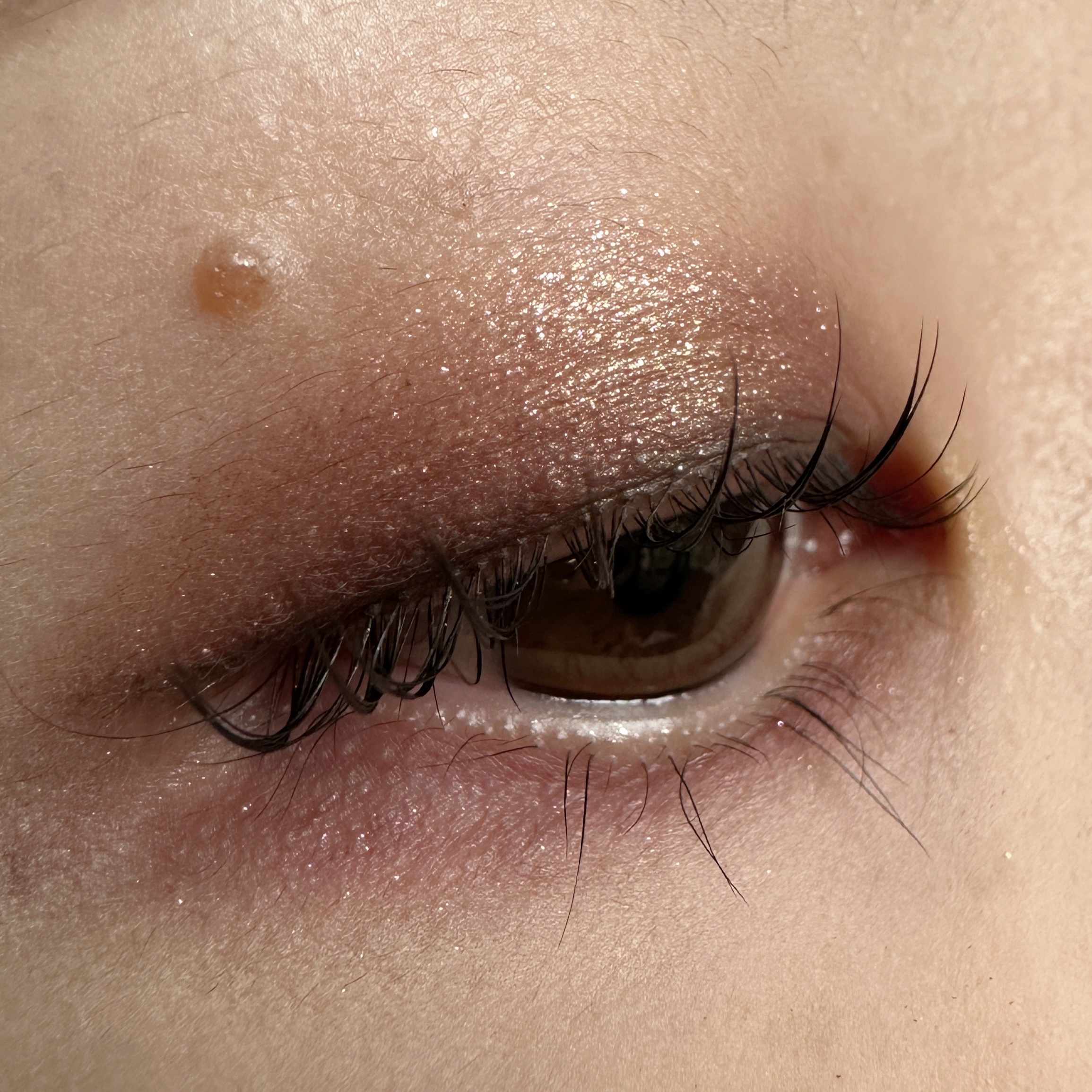 オンブル ドゥ エルメス パレット クワテュール 06 オンブル・モルドレ/エルメス/アイシャドウパレットを使ったクチコミ（3枚目）