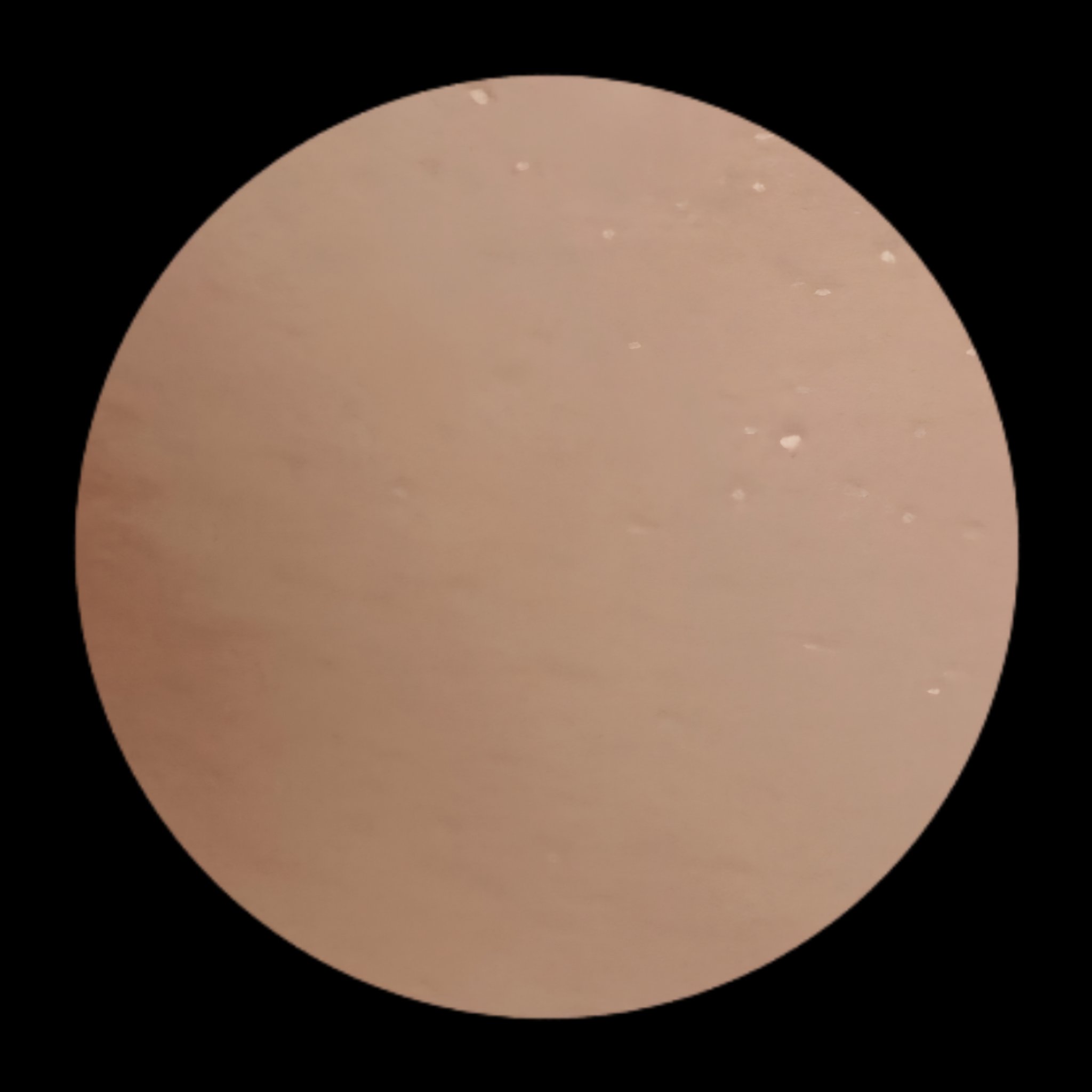 オバジC20セラム/オバジ/美容液を使ったクチコミ（2枚目）