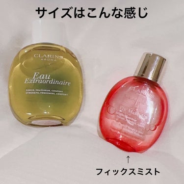 フィックス メイクアップ/CLARINS/ミスト状化粧水を使ったクチコミ（4枚目）