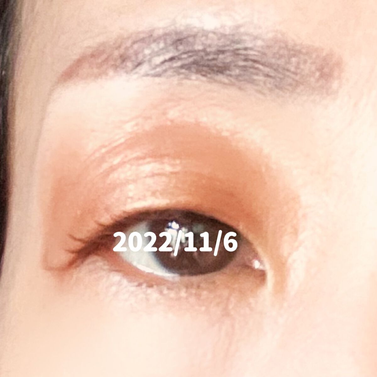 センシュアルスリーク アイズ/Visée/リキッドアイシャドウを使ったクチコミ(4枚目)