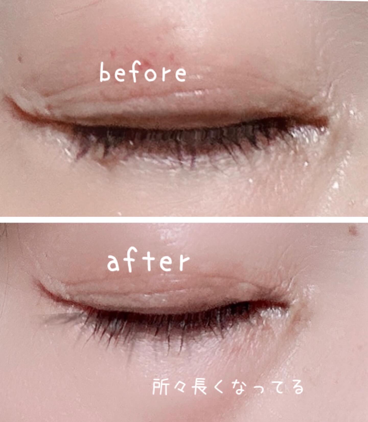 MECHA NOVIL/HARITHOTH/まつげ美容液を使ったクチコミ（3枚目）