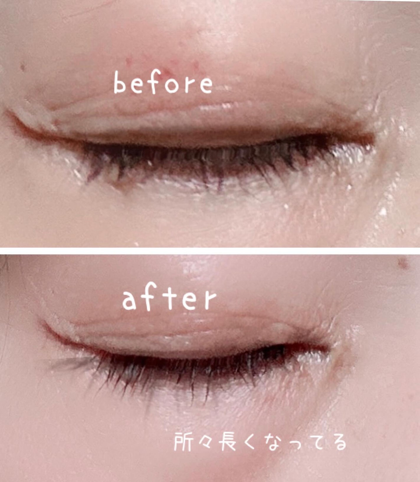 MECHA NOVIL/HARITHOTH/まつげ美容液を使ったクチコミ(3枚目)