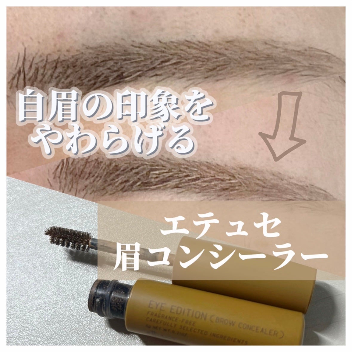 エテュセ アイエディション(ブロウコンシーラー)/ettusais/その他アイブロウを使ったクチコミ(1枚目)